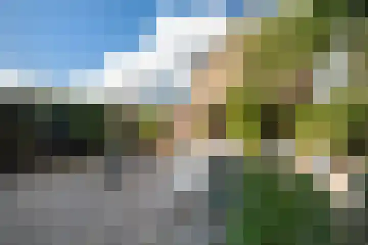 Ghijseland 47 Rhoon thumbnail 41
