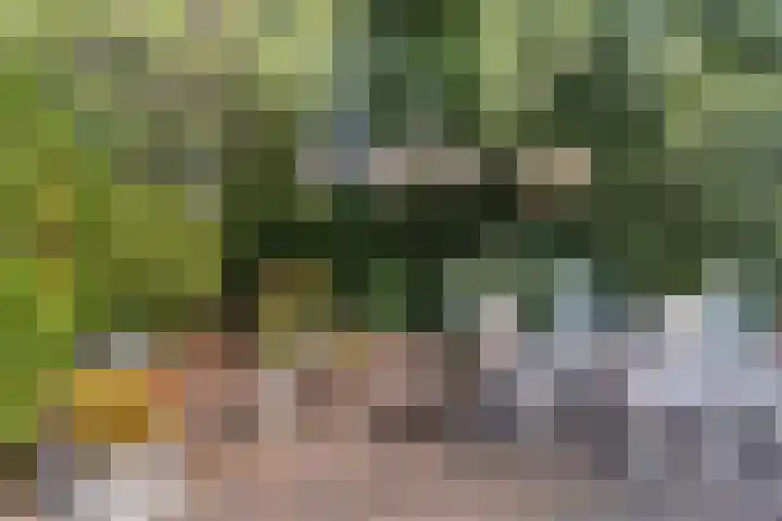 Ghijseland 47 Rhoon thumbnail 42