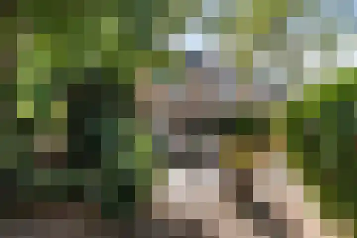 Ghijseland 47 Rhoon thumbnail 43
