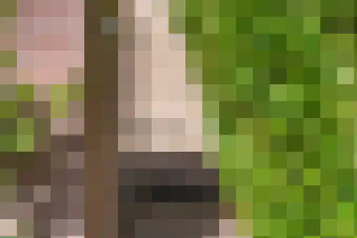 Ghijseland 47 Rhoon thumbnail 44