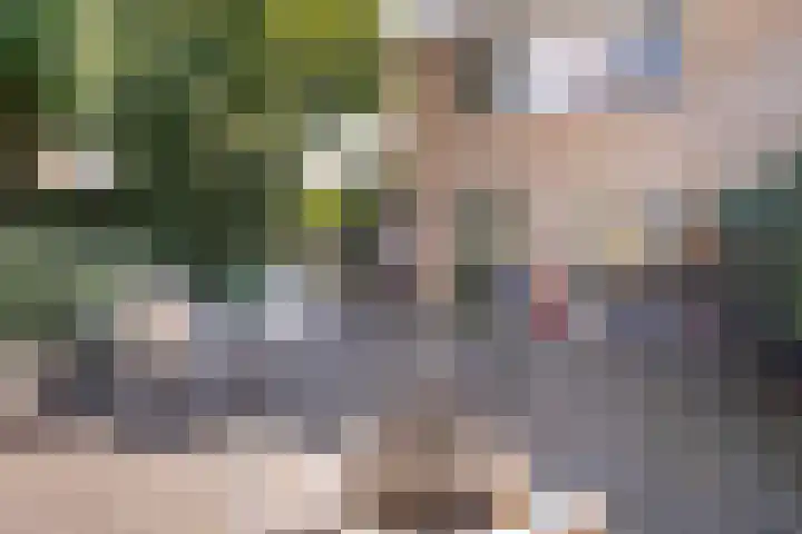 Ghijseland 47 Rhoon thumbnail 5