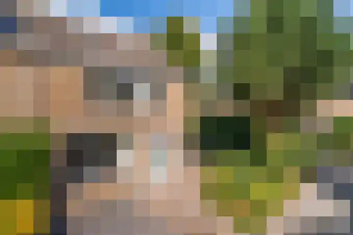 Ghijseland 47 Rhoon thumbnail 6