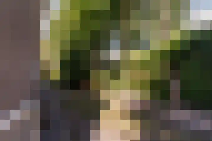 Ghijseland 47 Rhoon thumbnail 8