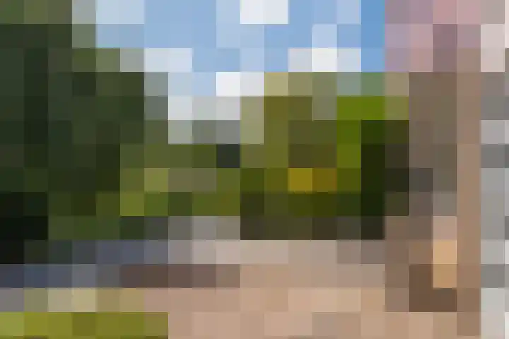 Ghijseland 47 Rhoon thumbnail 9