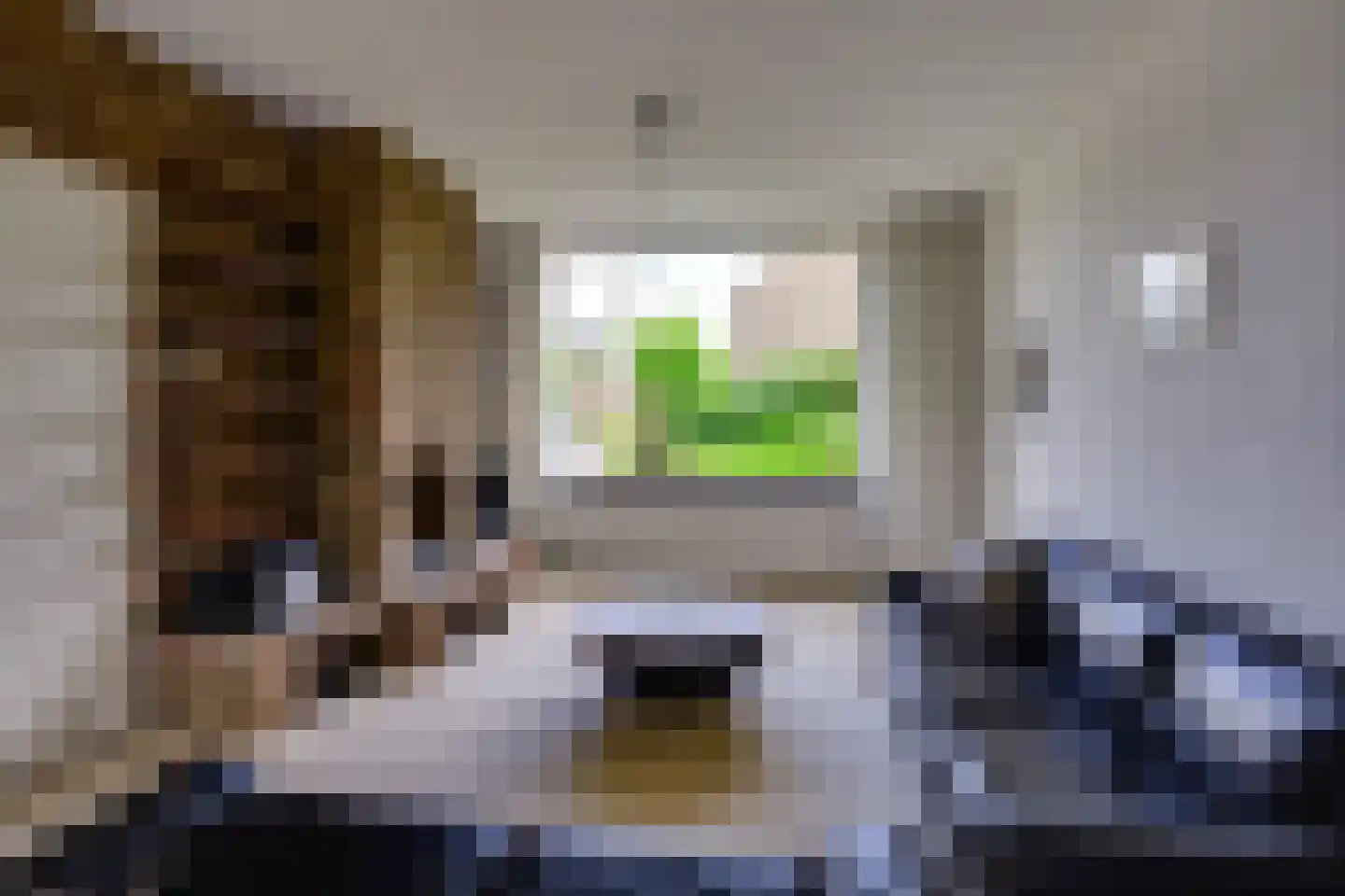 Ghijseland 57 Rhoon thumbnail 11