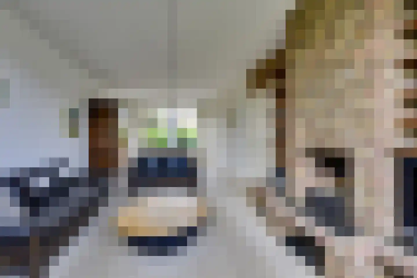 Ghijseland 57 Rhoon thumbnail 12