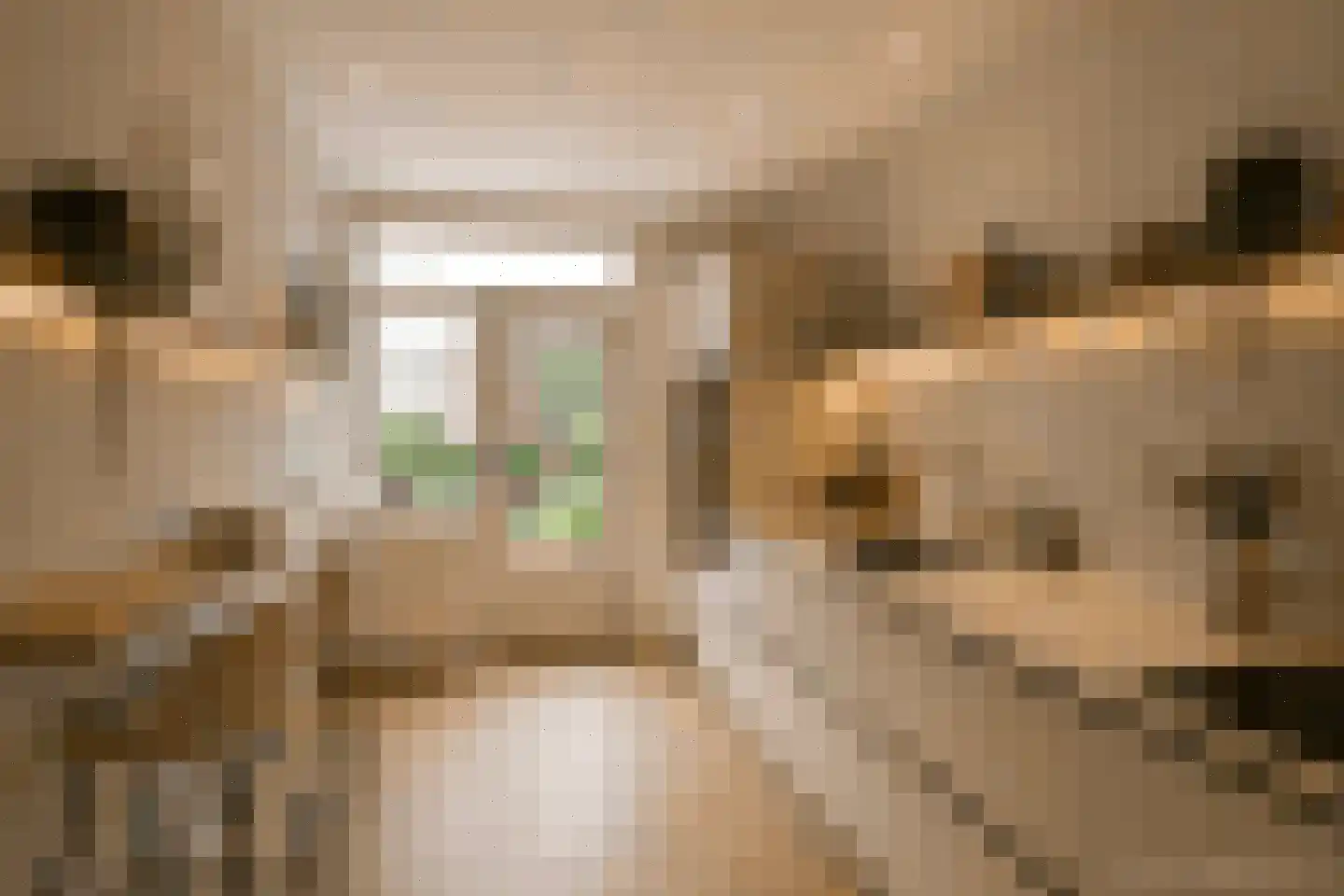 Ghijseland 57 Rhoon thumbnail 19