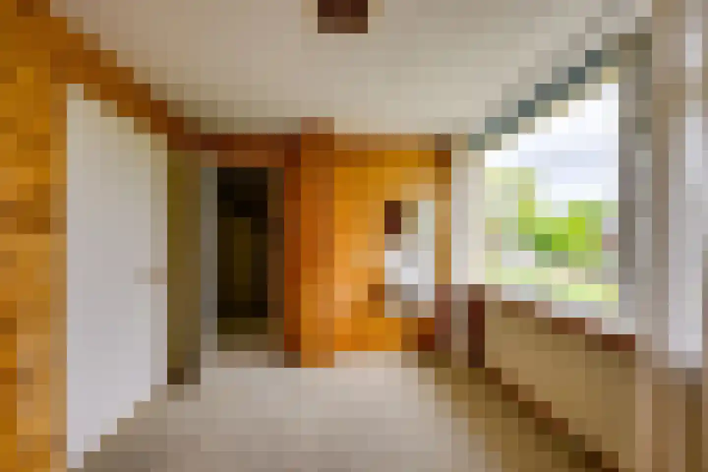 Ghijseland 57 Rhoon thumbnail 24