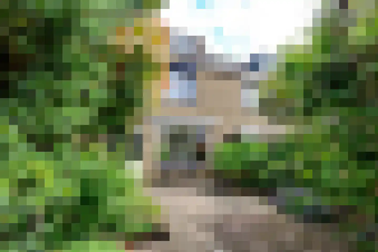 Ghijseland 57 Rhoon thumbnail 35