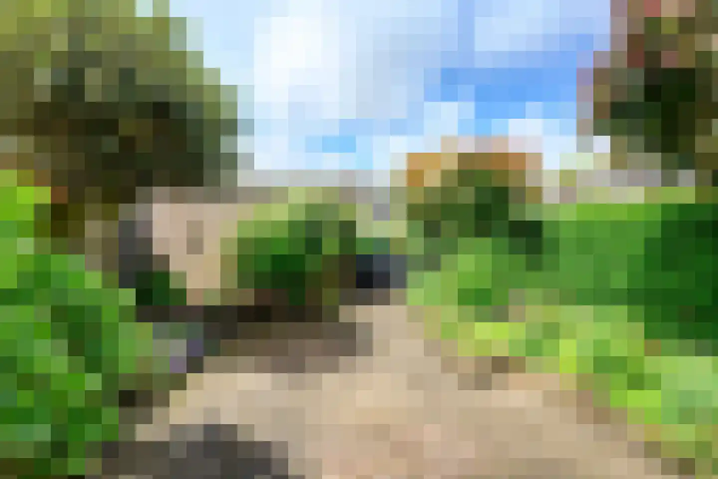 Ghijseland 57 Rhoon thumbnail 38