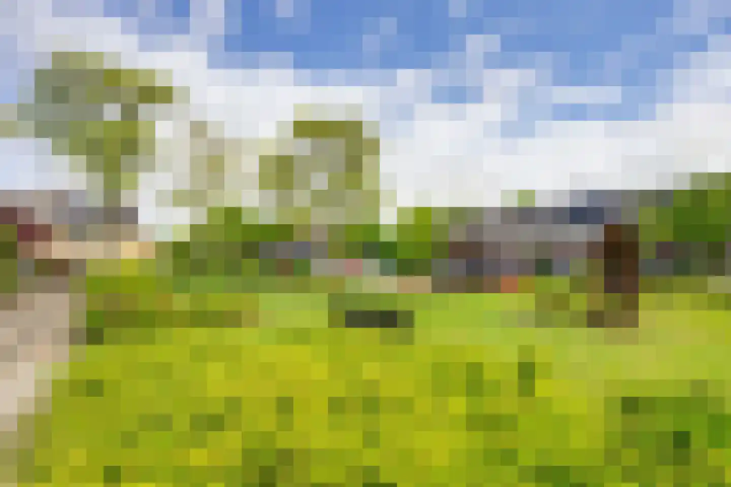 Ghijseland 57 Rhoon thumbnail 44