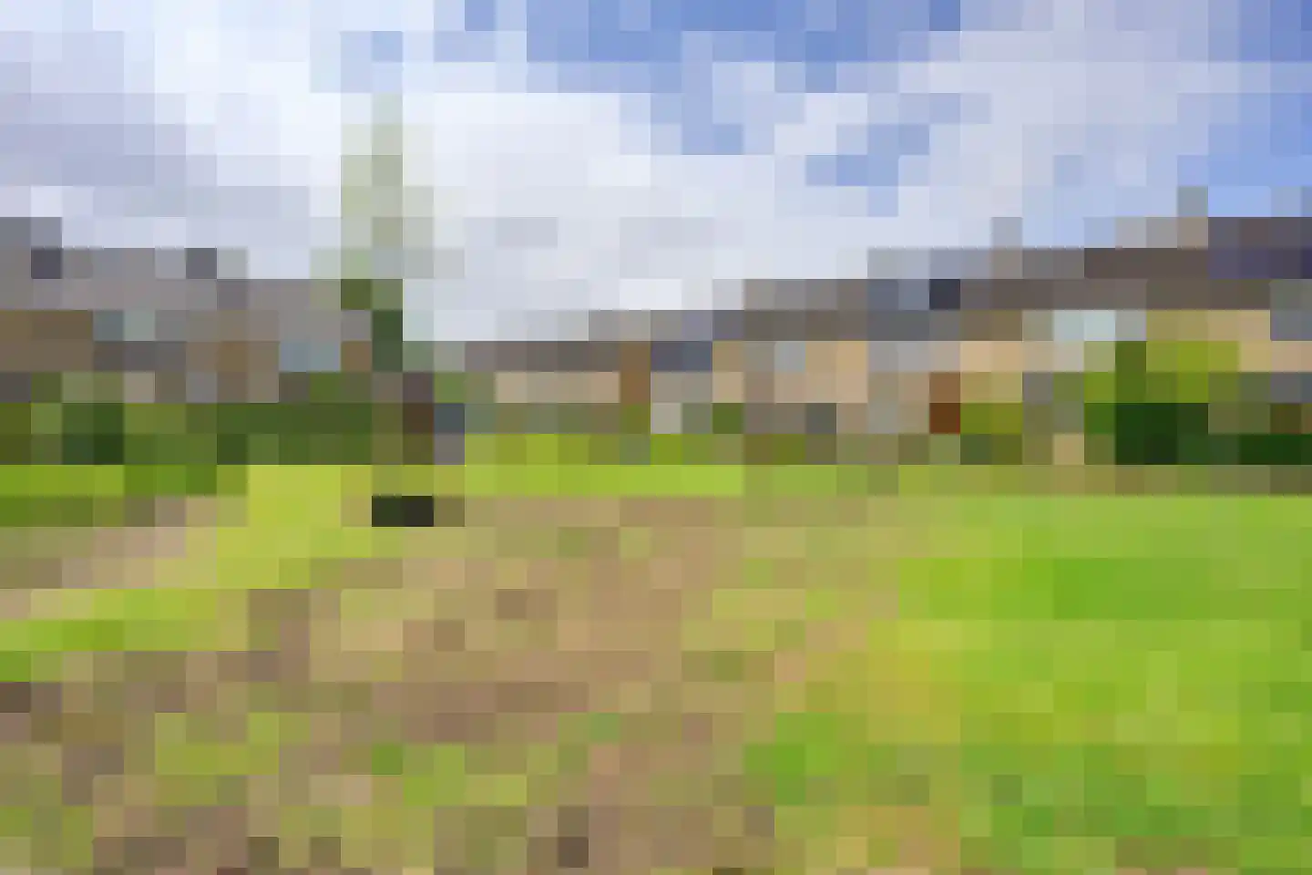 Ghijseland 57 Rhoon thumbnail 45