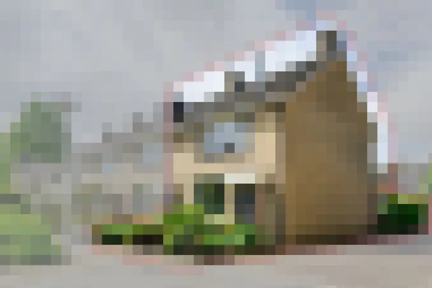 Ghijseland 57 Rhoon thumbnail 8