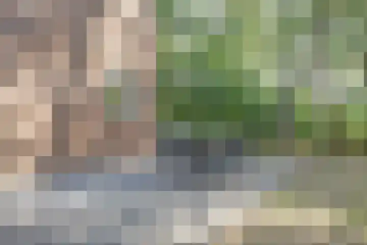 Ghil 10 a Baarle-Nassau thumbnail 39