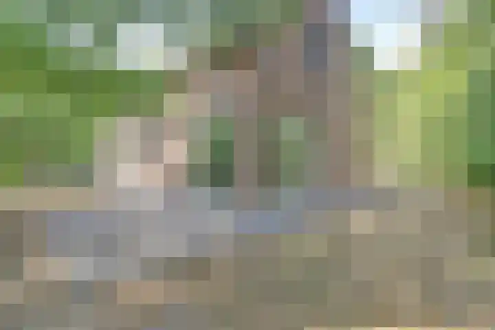 Ghil 10 a Baarle-Nassau thumbnail 41