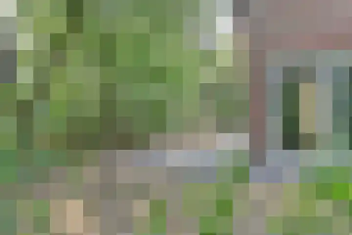 Ghil 10 a Baarle-Nassau thumbnail 42