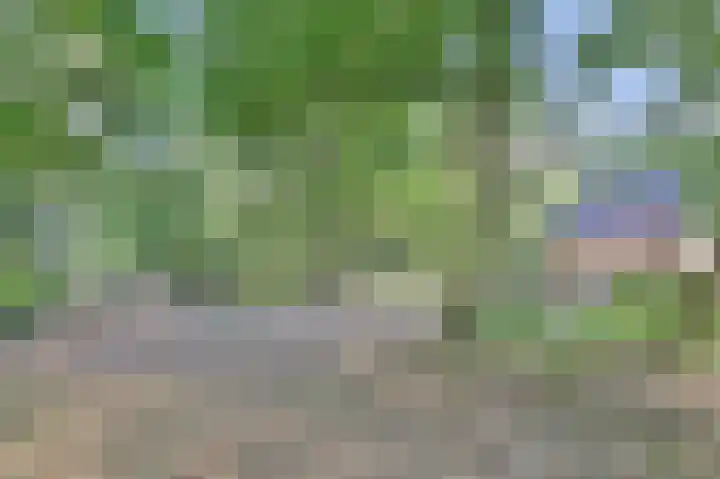 Ghil 10 a Baarle-Nassau thumbnail 43