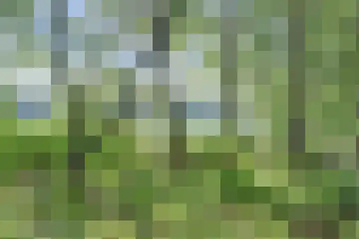 Ghil 10 a Baarle-Nassau thumbnail 46