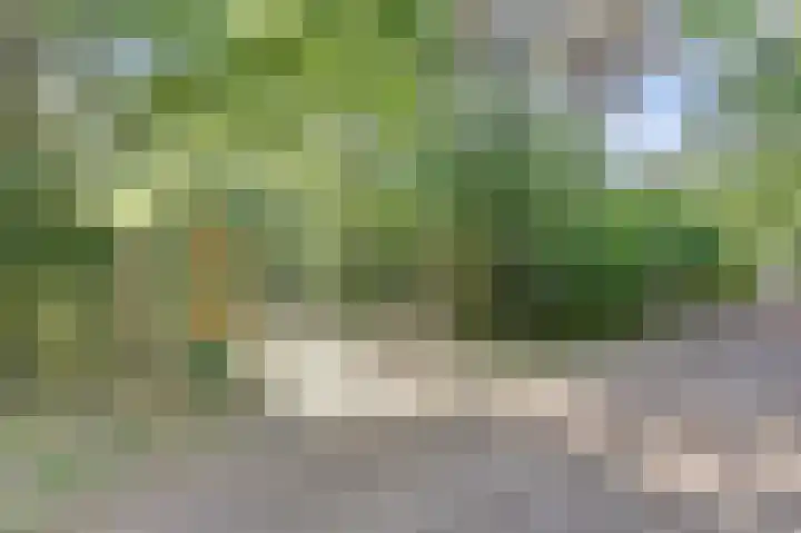Ghil 10 a Baarle-Nassau thumbnail 48