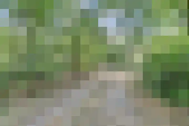 Ghil 10 a Baarle-Nassau thumbnail 49