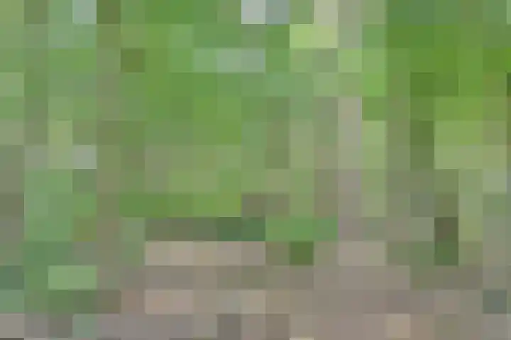 Ghil 10 a Baarle-Nassau thumbnail 50