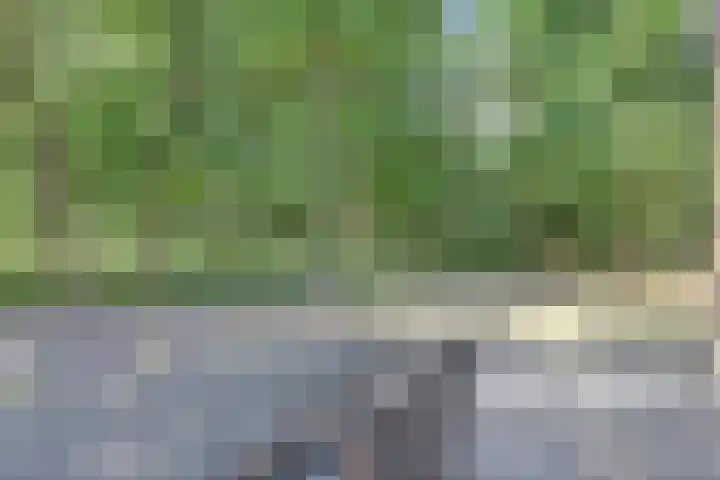 Ghil 10 a Baarle-Nassau thumbnail 8