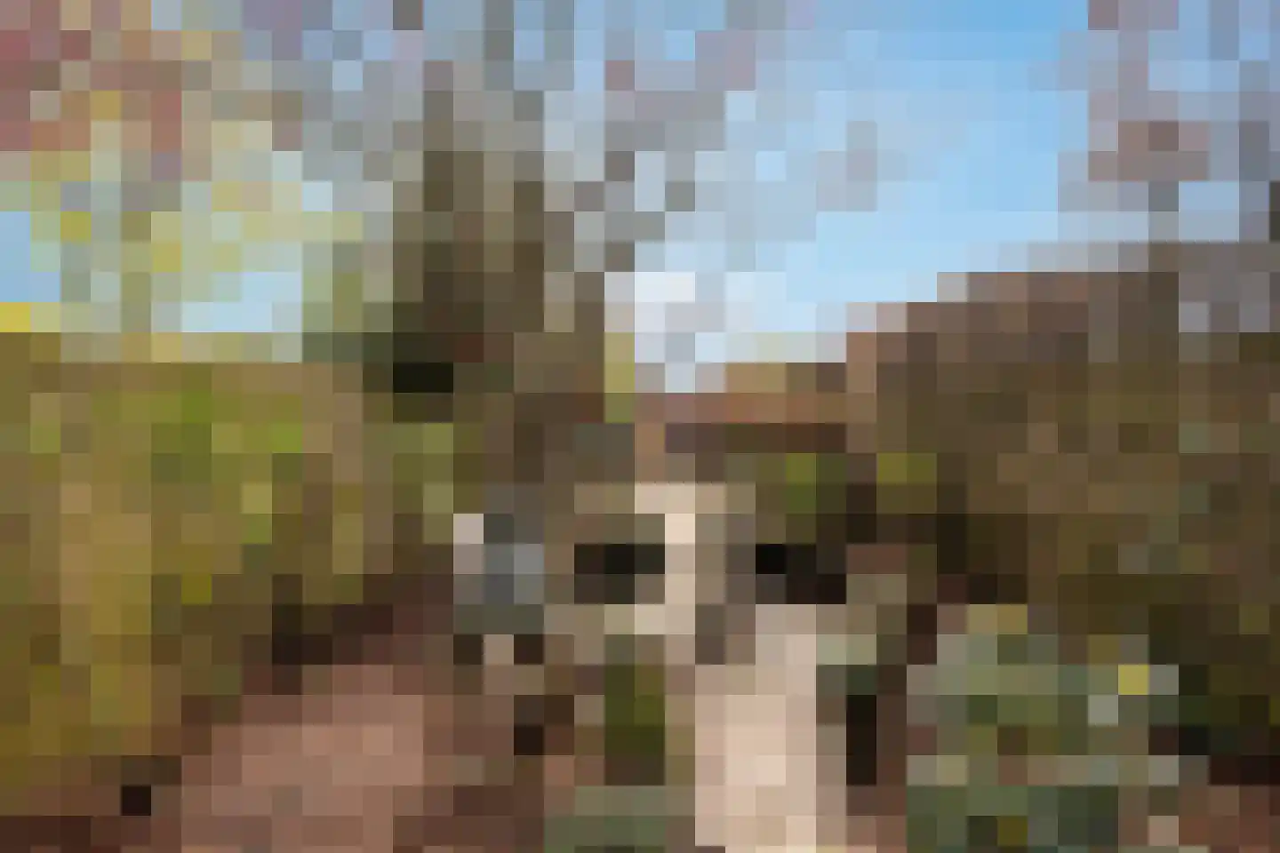 Ghil 179 Baarle-Nassau thumbnail 15