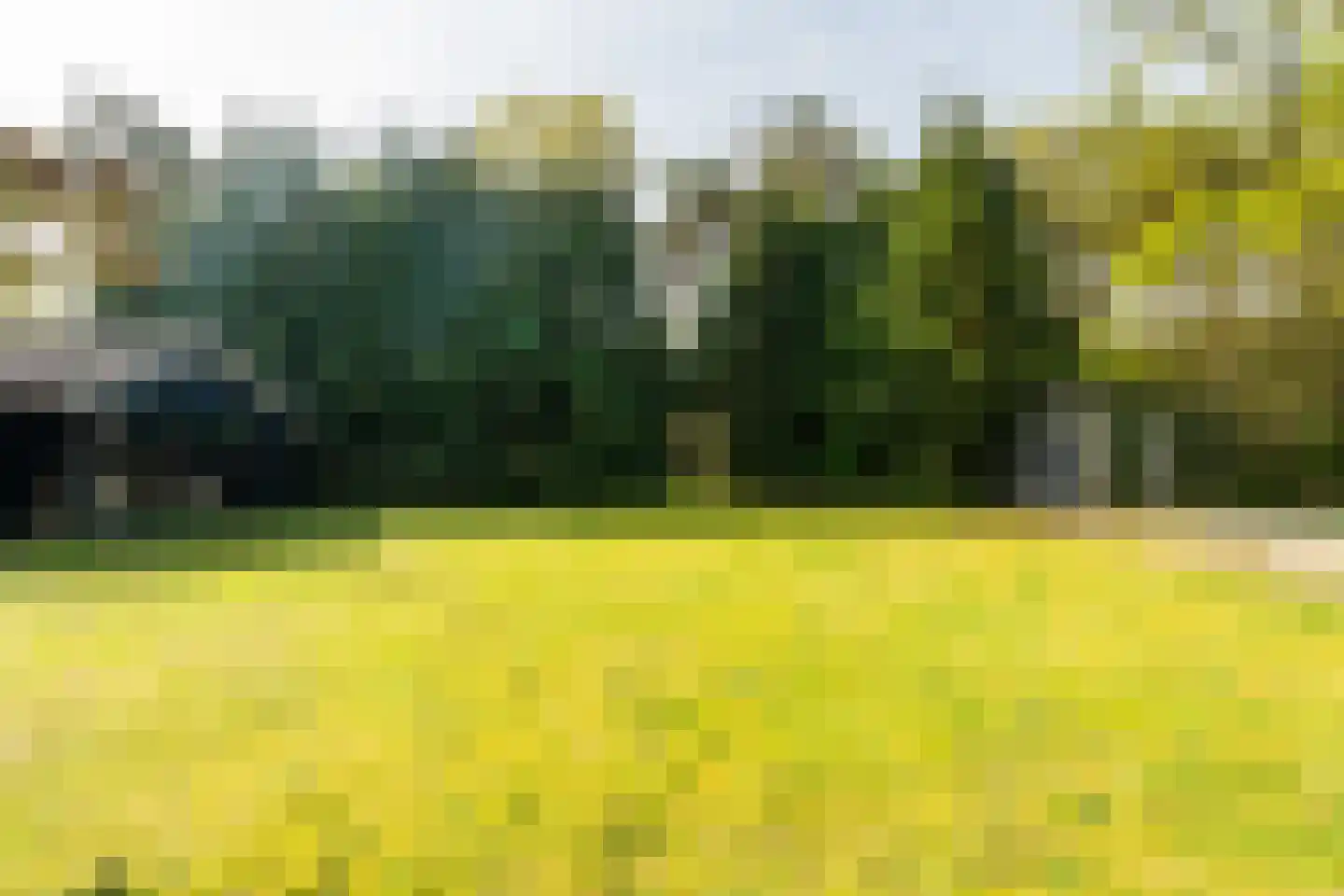 Ghil 5 Baarle-Nassau thumbnail 37