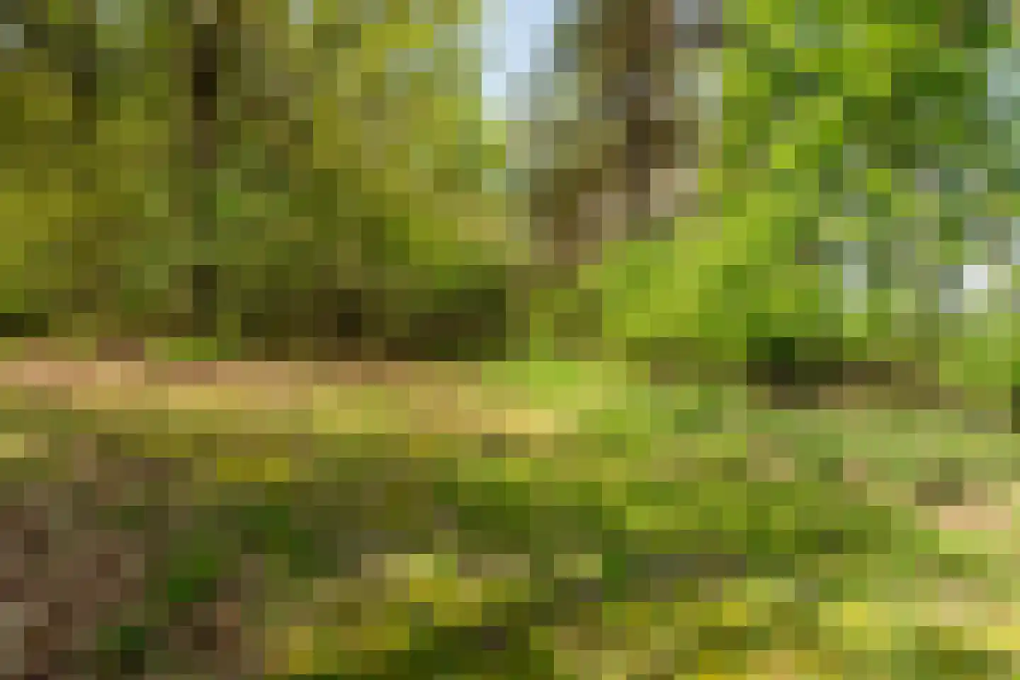 Ghil 5 Baarle-Nassau thumbnail 44