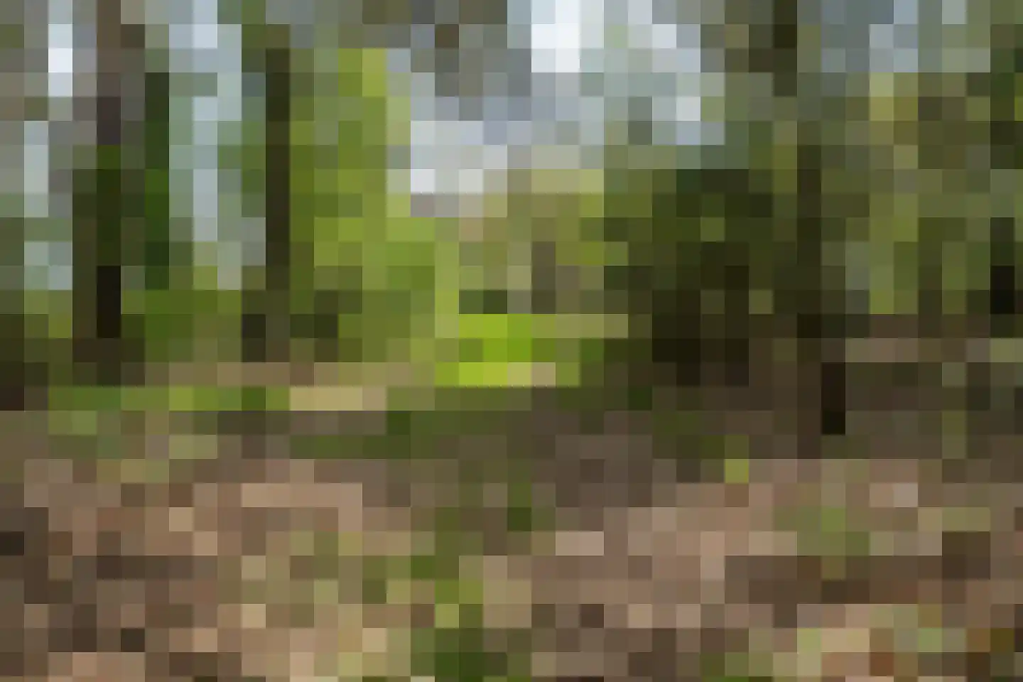 Ghil 5 Baarle-Nassau thumbnail 45
