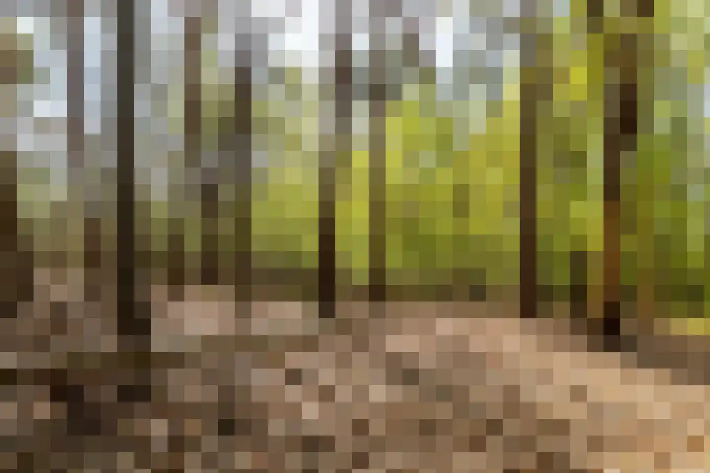 Ghil 5 Baarle-Nassau thumbnail 46