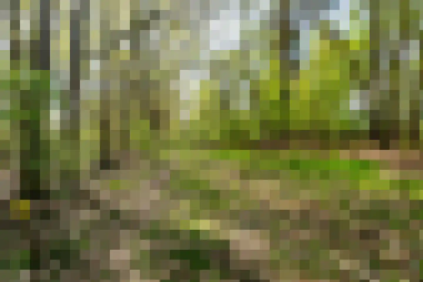 Ghil 5 Baarle-Nassau thumbnail 47