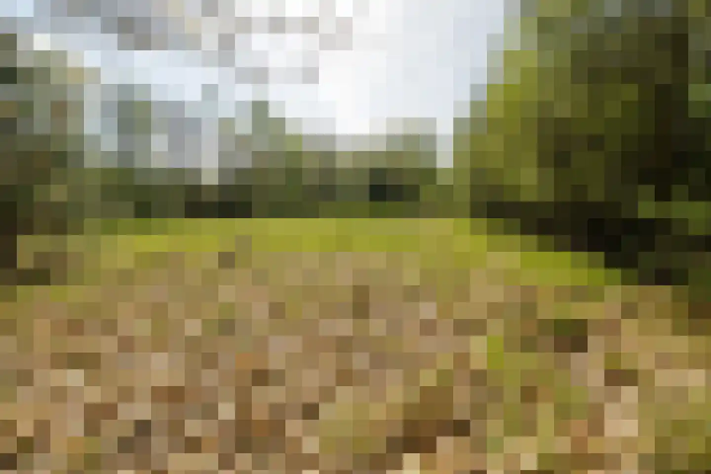 Ghil 5 Baarle-Nassau thumbnail 48