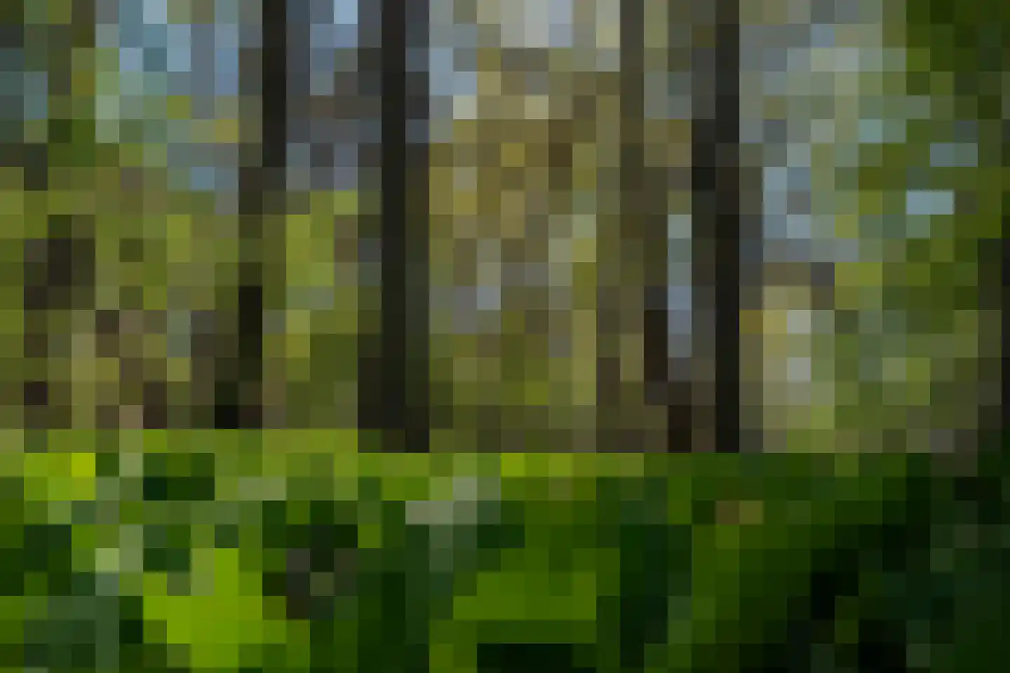 Ghil 5 Baarle-Nassau thumbnail 53