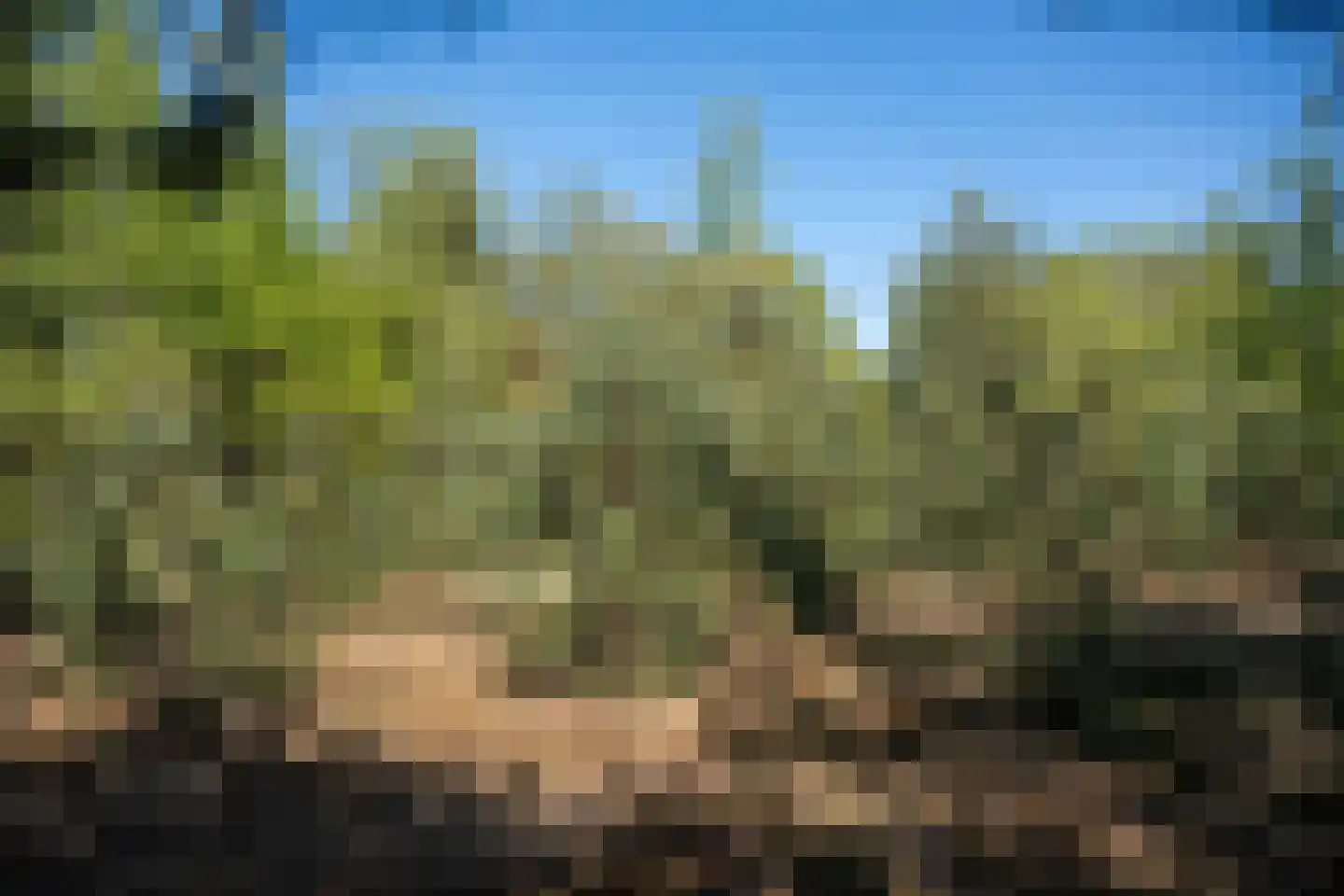 Ghil 5 Baarle-Nassau thumbnail 56