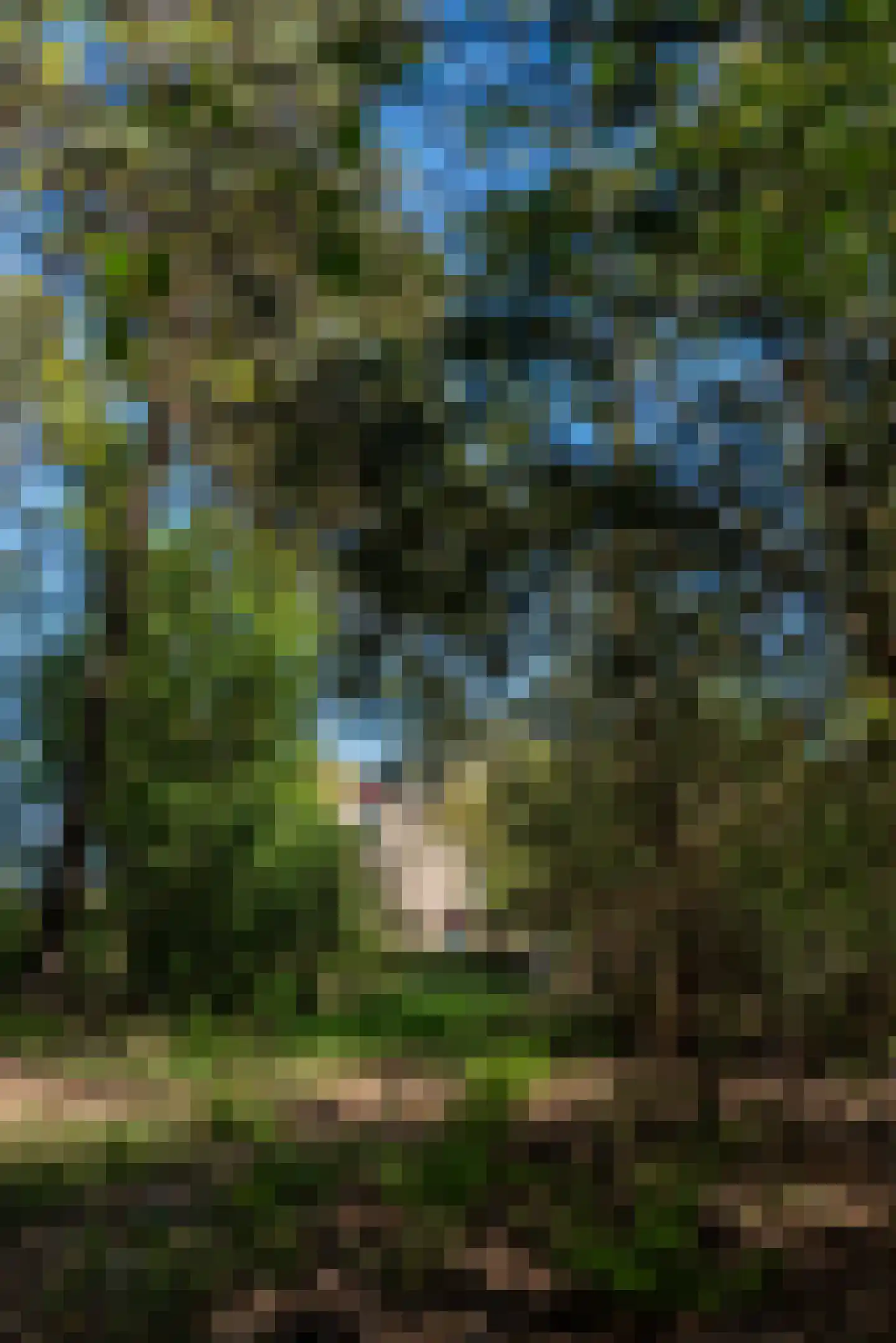 Ghil 5 Baarle-Nassau thumbnail 57