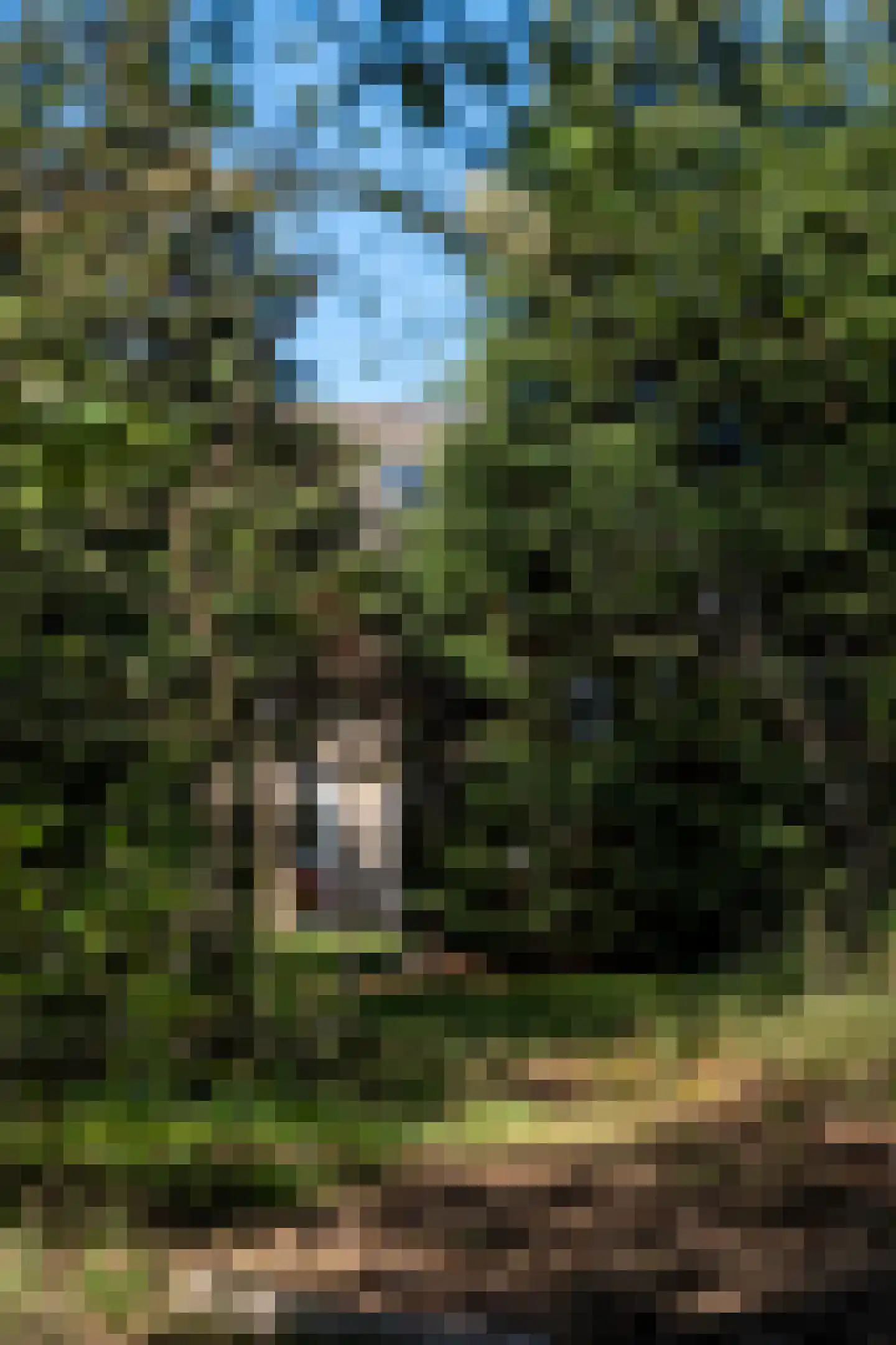 Ghil 5 Baarle-Nassau thumbnail 58