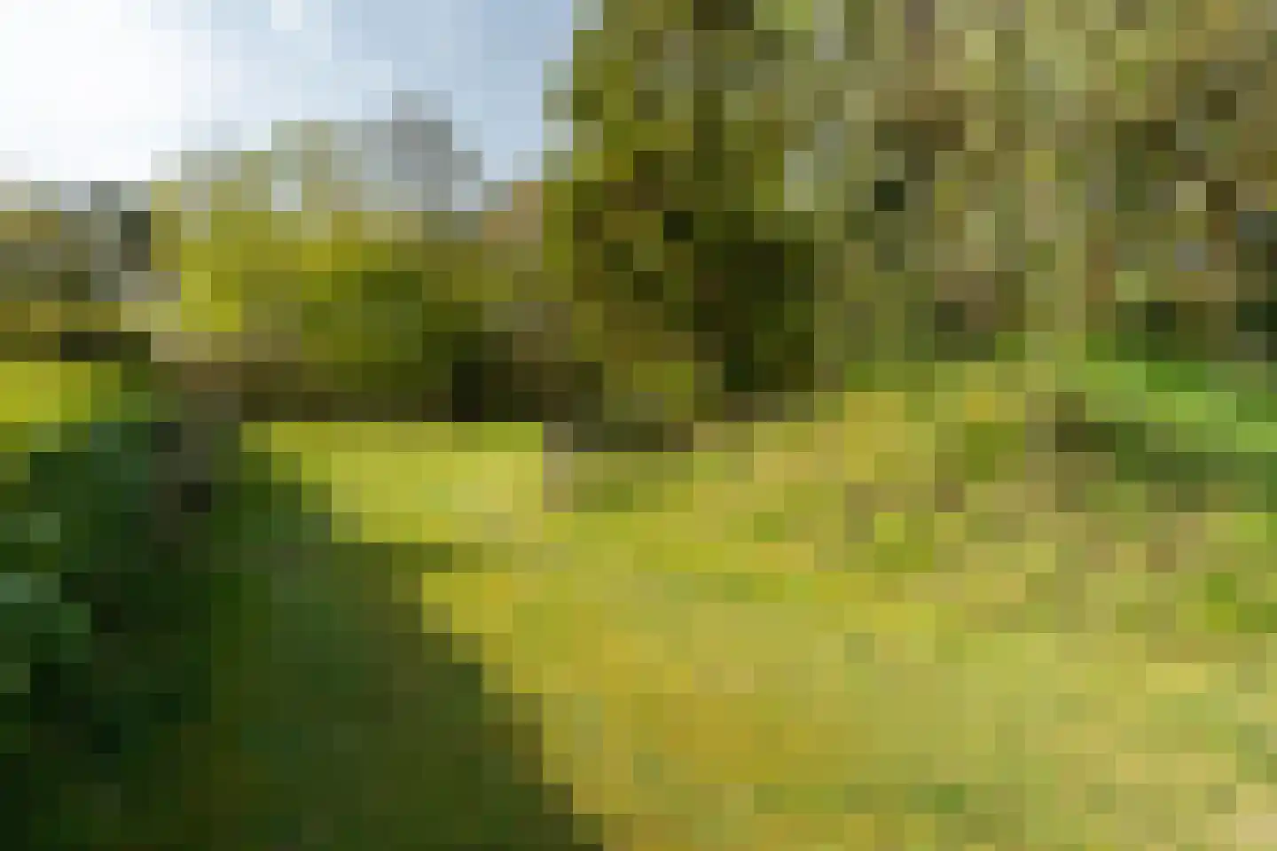 Ghil 5 Baarle-Nassau thumbnail 6
