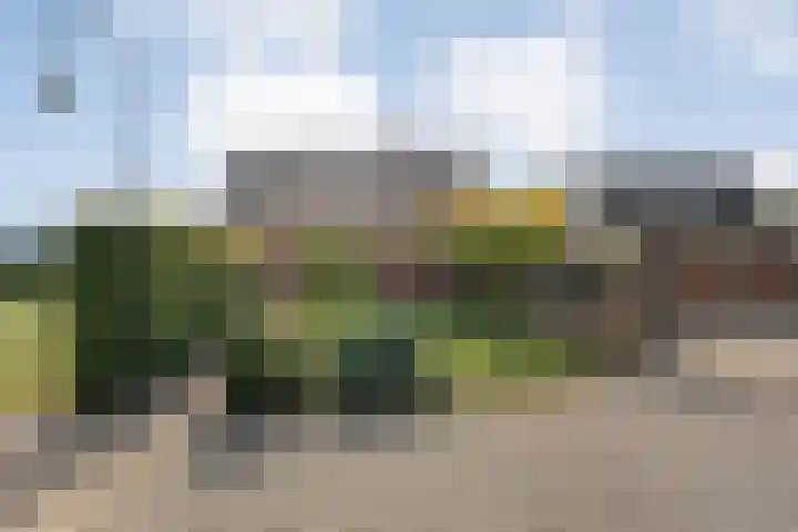 Photo of Ghilaine Sieval