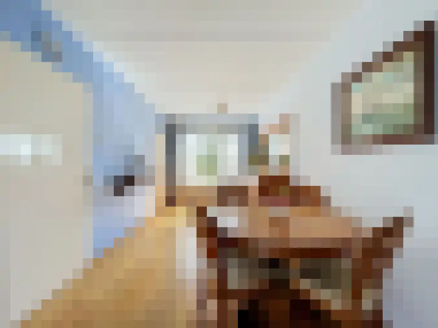 Ghistelkerke 344 Breskens thumbnail 6