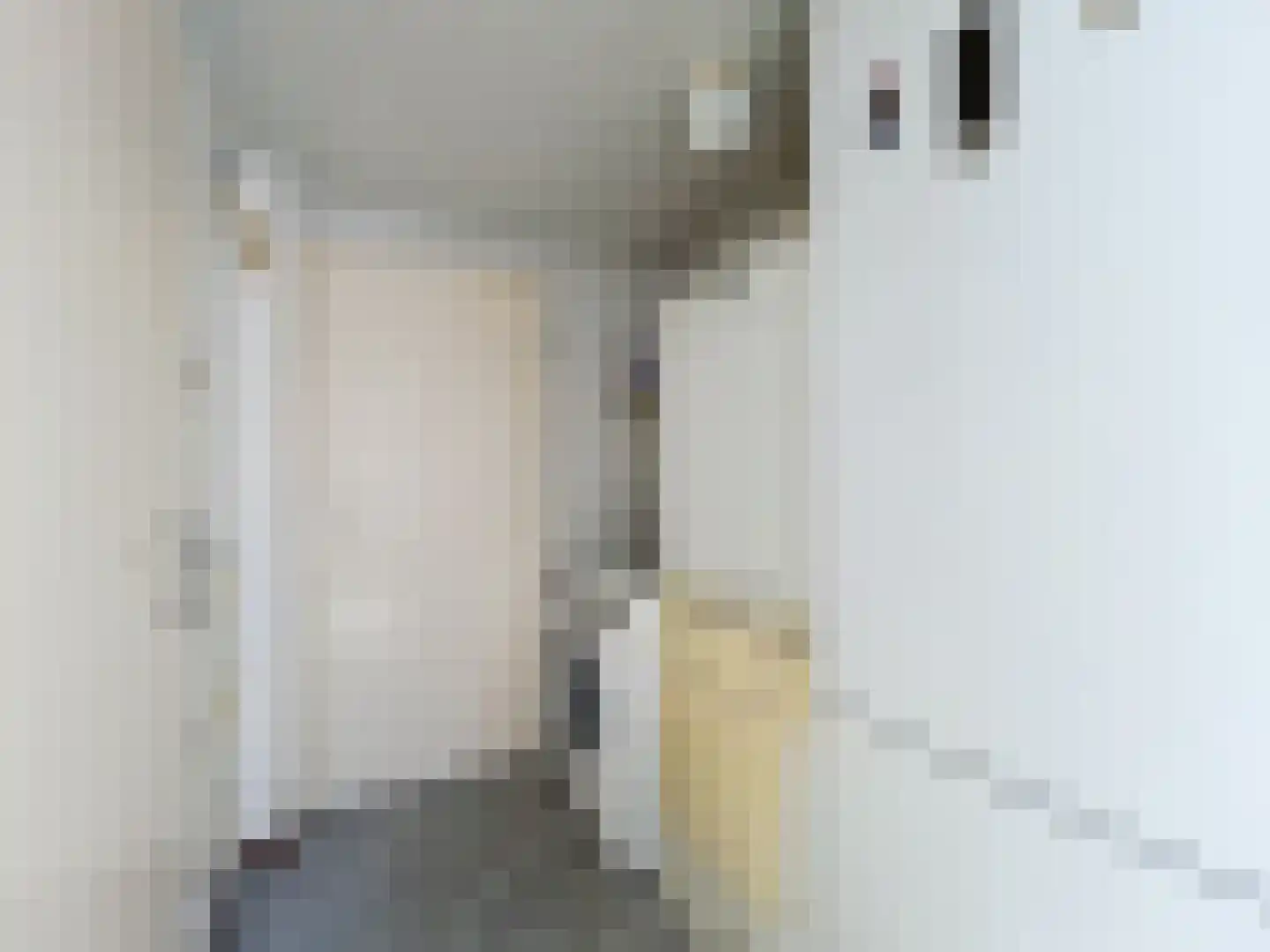 Ghistelkerke 344 Breskens thumbnail 9
