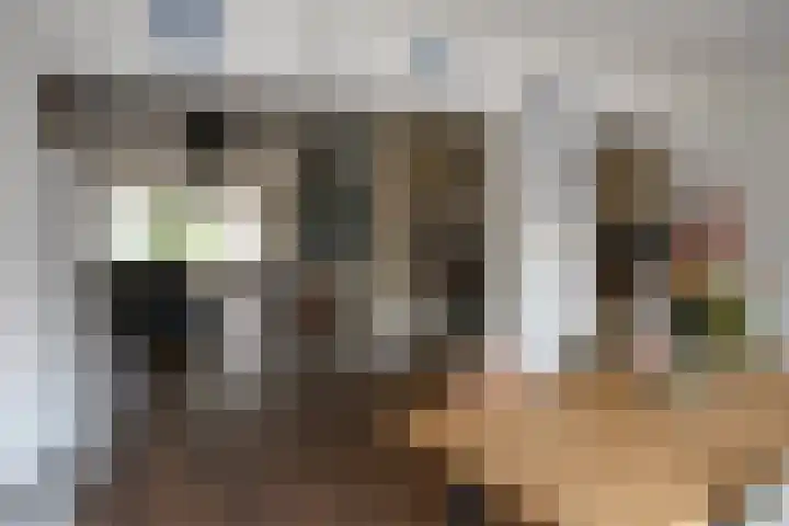 Ghistelkerke 514 Breskens thumbnail 10
