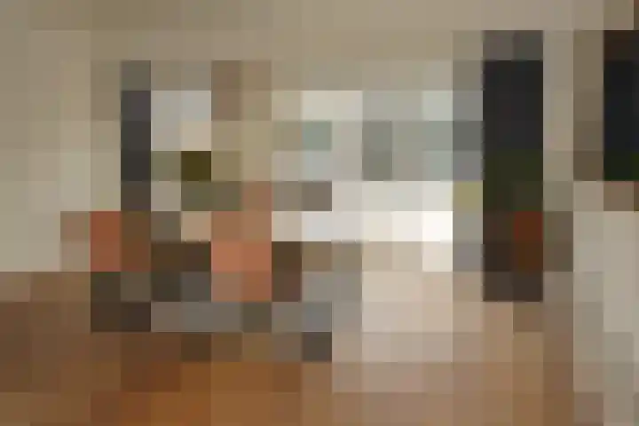Ghistelkerke 514 Breskens thumbnail 11