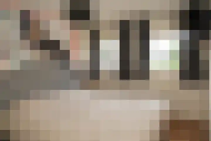 Ghistelkerke 514 Breskens thumbnail 16