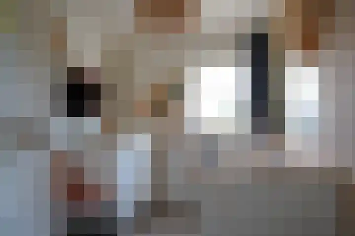 Ghistelkerke 514 Breskens thumbnail 20