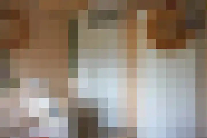 Ghistelkerke 514 Breskens thumbnail 21