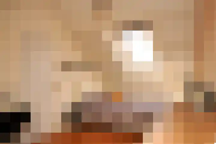 Ghistelkerke 514 Breskens thumbnail 26