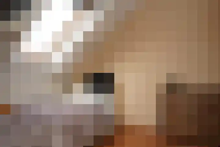Ghistelkerke 514 Breskens thumbnail 27