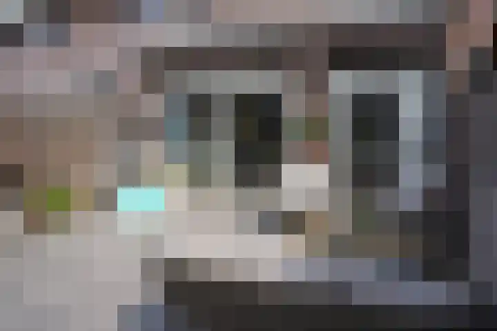 Ghistelkerke 514 Breskens thumbnail 34