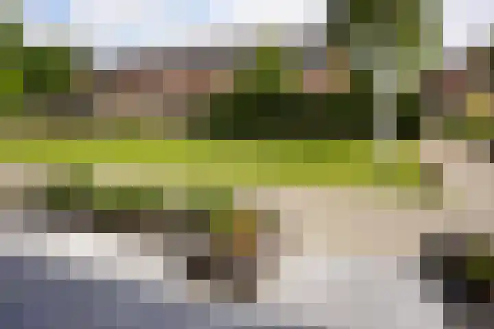 Ghistelkerke 514 Breskens thumbnail 41